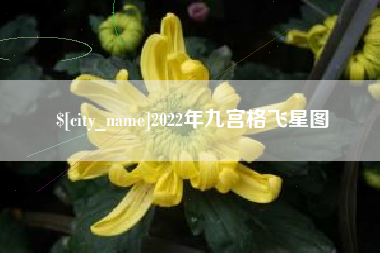 雄安新区2022年九宫格飞星图