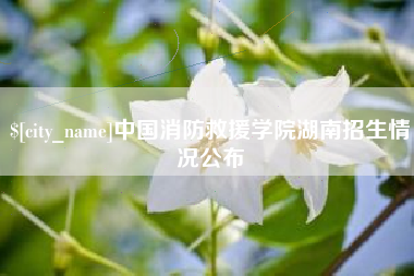 雄安新区中国消防救援学院湖南招生情况公布