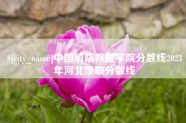 雄安新区中国消防救援学院分数线2023年河北录取分数线