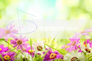 雄安新区中国消防网1190119