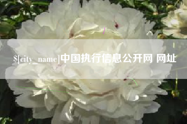 雄安新区中国执行信息公开网 网址
