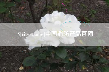 雄安新区中国消防产品官网