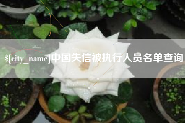 雄安新区中国失信被执行人员名单查询