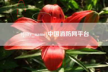 雄安新区中国消防网平台