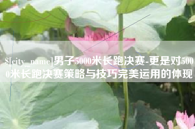 雄安新区男子5000米长跑决赛-更是对5000米长跑决赛策略与技巧完美运用的体现