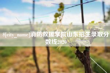 雄安新区消防救援学院山东招生录取分数线2020