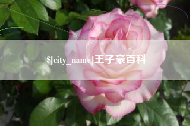 雄安新区王子豪百科