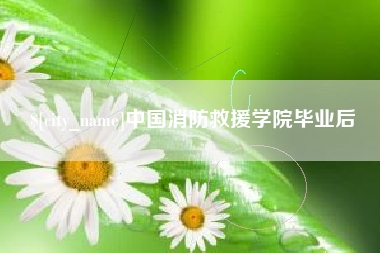 雄安新区中国消防救援学院毕业后