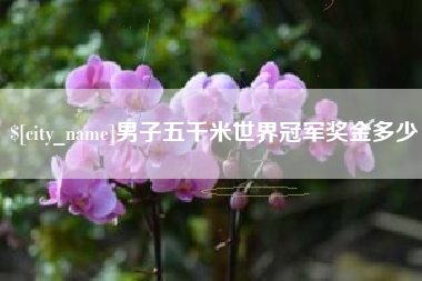 雄安新区男子五千米世界冠军奖金多少