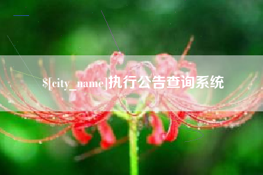 雄安新区执行公告查询系统