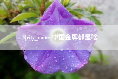 雄安新区中国金牌都是啥