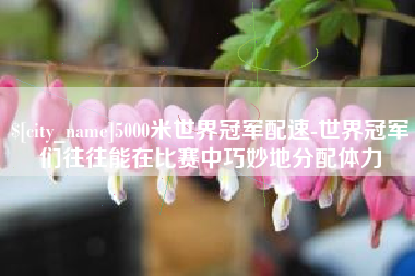 雄安新区5000米世界冠军配速-世界冠军们往往能在比赛中巧妙地分配体力
