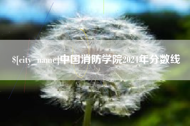 雄安新区中国消防学院2024年分数线