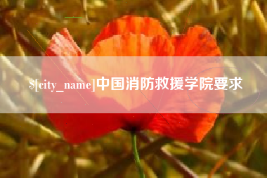 雄安新区中国消防救援学院要求