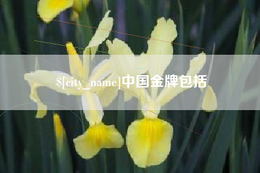 雄安新区中国金牌包括