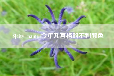 雄安新区今年九宫格的不利颜色