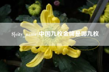 雄安新区中国九枚金牌是哪九枚