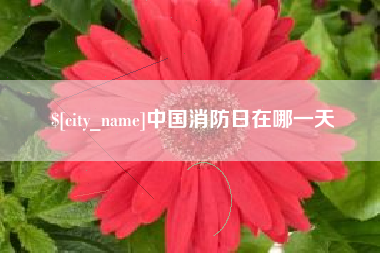 雄安新区中国消防日在哪一天