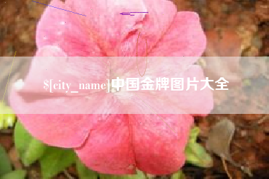 雄安新区中国金牌图片大全