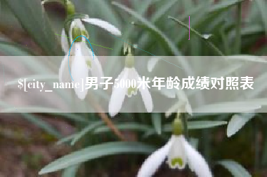 雄安新区男子5000米年龄成绩对照表