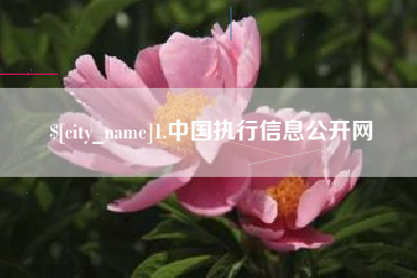 雄安新区1.中国执行信息公开网