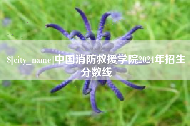 雄安新区中国消防救援学院2024年招生分数线