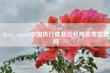 雄安新区中国执行信息公开网会发信息吗