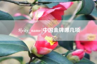 雄安新区中国金牌哪几项