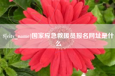 雄安新区国家应急救援员报名网址是什么