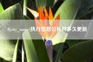 雄安新区执行信息公开网多久更新