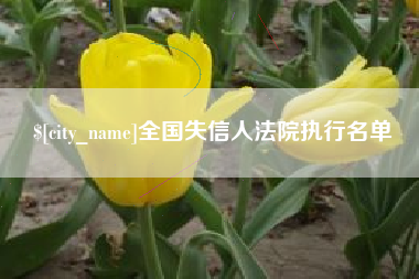 雄安新区全国失信人法院执行名单