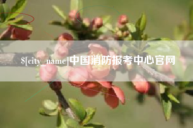 雄安新区中国消防报考中心官网