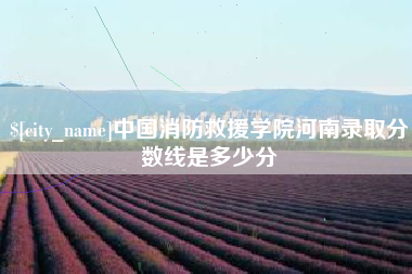 雄安新区中国消防救援学院河南录取分数线是多少分