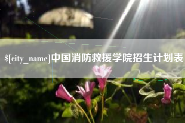 雄安新区中国消防救援学院招生计划表
