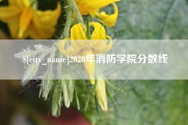 雄安新区2020年消防学院分数线