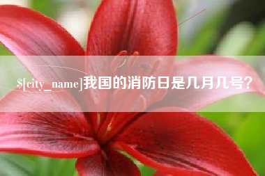 雄安新区我国的消防日是几月几号？