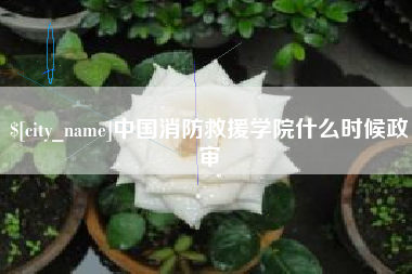 雄安新区中国消防救援学院什么时候政审