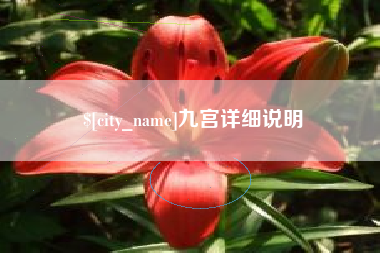 雄安新区九宫详细说明