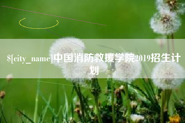 雄安新区中国消防救援学院2019招生计划