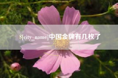 雄安新区中国金牌有几枚了