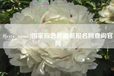 雄安新区国家应急救援员报名网查询官网