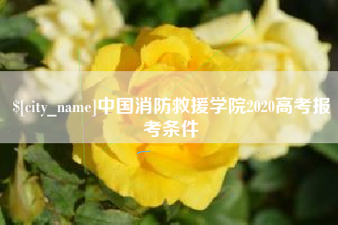 雄安新区中国消防救援学院2020高考报考条件