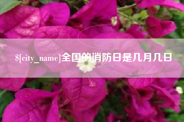 雄安新区全国的消防日是几月几日