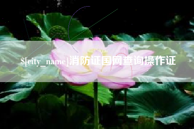 雄安新区消防证国网查询操作证