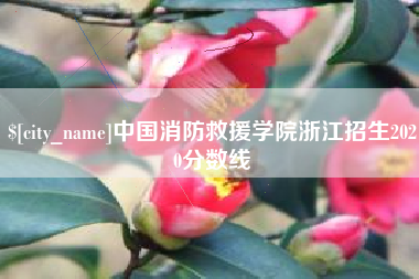 雄安新区中国消防救援学院浙江招生2020分数线