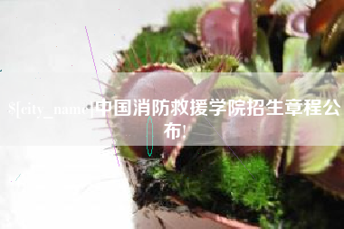 雄安新区中国消防救援学院招生章程公布!
