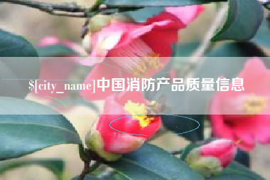 雄安新区中国消防产品质量信息