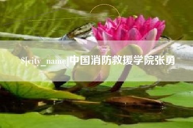 雄安新区中国消防救援学院张勇