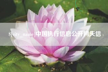 雄安新区中国执行信息公开网失信