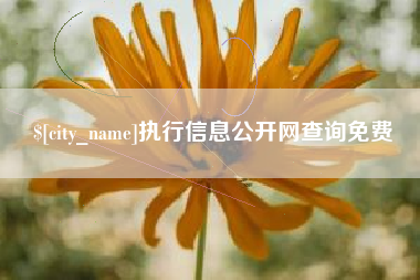 雄安新区执行信息公开网查询免费